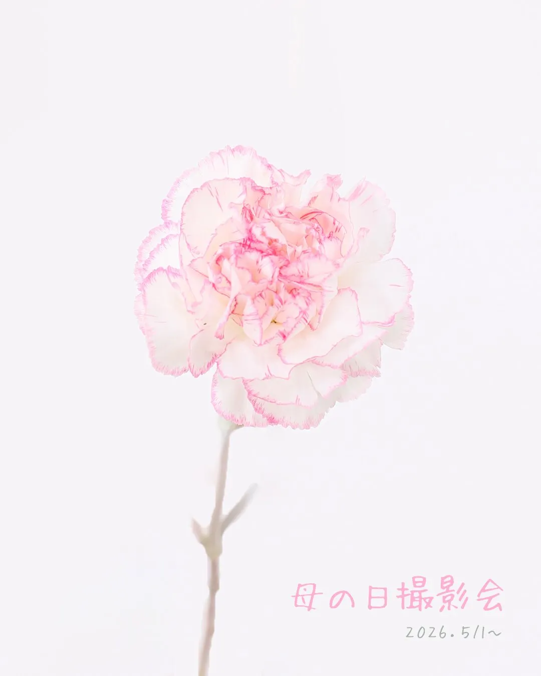 \日頃の感謝を形と思い出に/